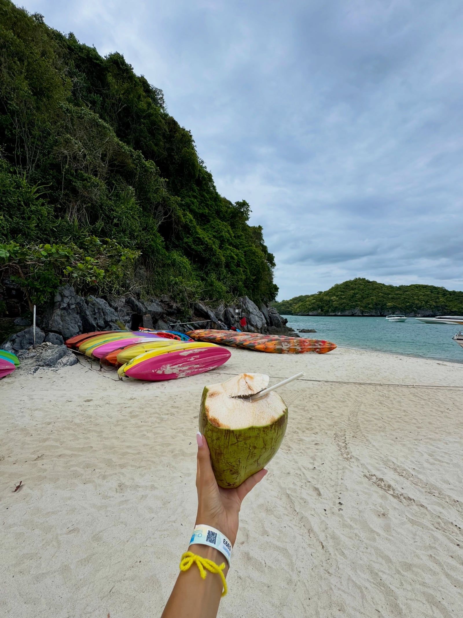 Ang Thong National Marine Park tour visitor photo